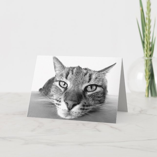 Cartão de saudação de refrigeração (Frente)