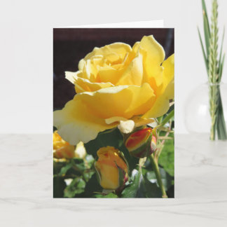 Cartão de Saudação de Rosas Amarelas