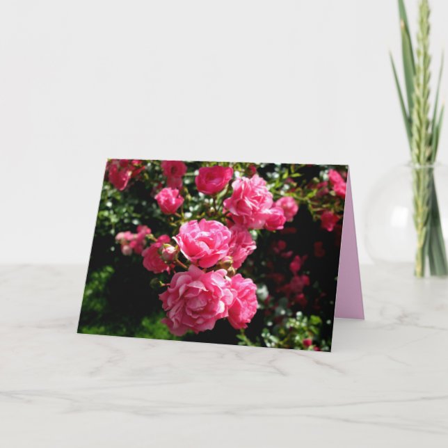 cartão de saudação de rosas cor-de-rosa (Frente)