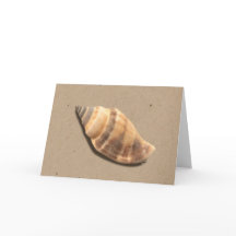 Cartão de Saudação de Shell de Conch Strike Brown 