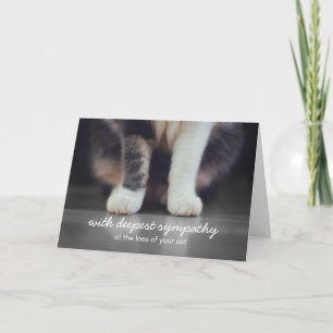 Cartão de Saudação de Simpatia de Gato