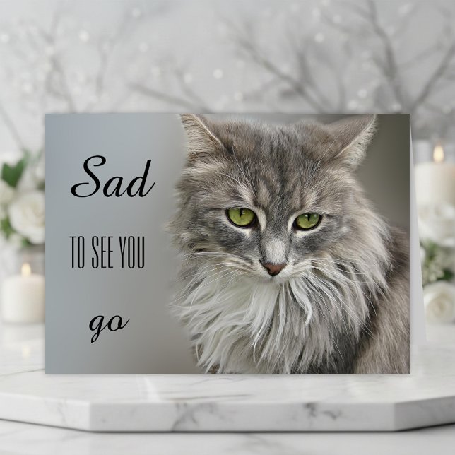 Cartão de Saudação de Simpatia de Gato da cinza (A beautiful cat sympathy card to express your compassion for the loss of a sweet kitty)