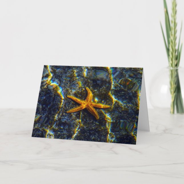 Cartão de Saudação de Starfish (Frente)