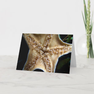 Cartão de Saudação de Starfish