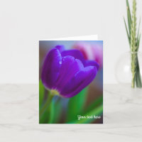 Cartão de saudação de Tulip púrpura