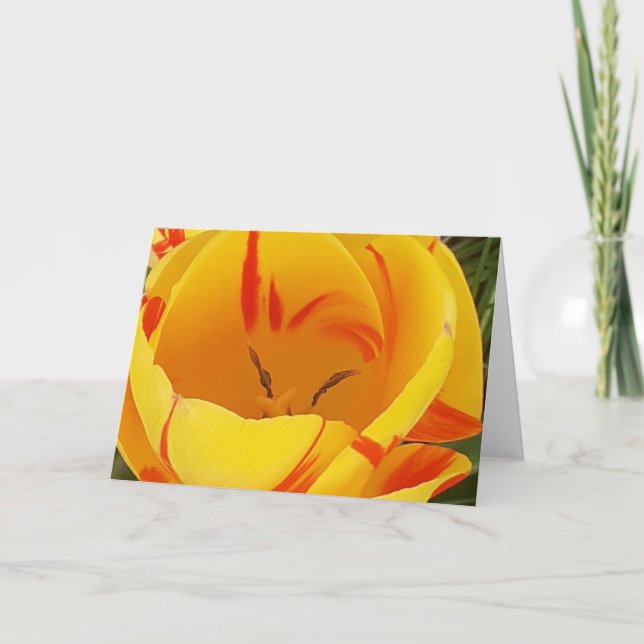 Cartão de Saudação de Tulipa Amarelo (Frente)