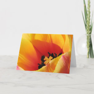 Cartão de Saudação de Tulipa Amarelo Macro
