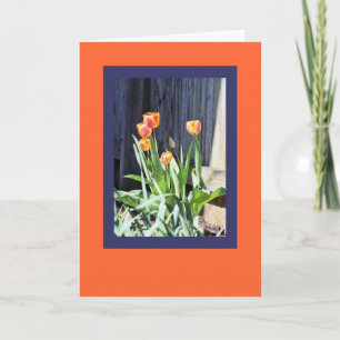 Cartão de saudação de tulipas brilhantes