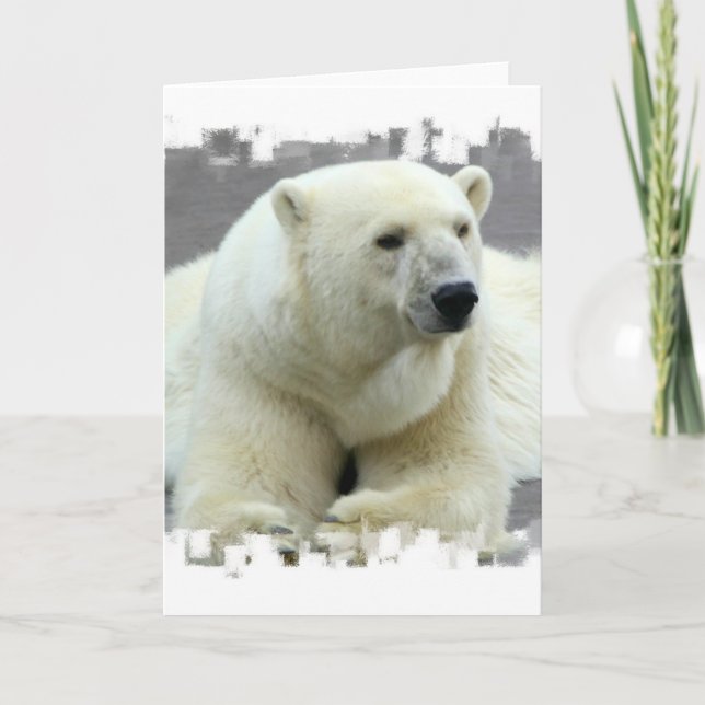 Cartão de Saudação de Urso Polar (Frente)