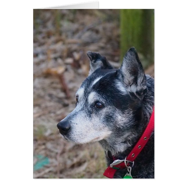 Cartão de saudação de vazio (Frente)