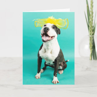 Cartão de saudação de vazio