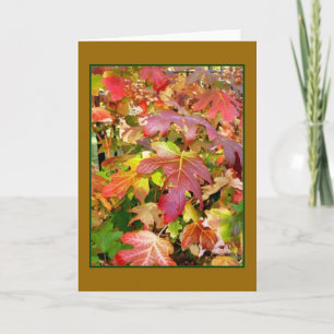 Cartão de Saudação de Vazio 'Autumn Leaves'