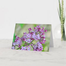 Cartão de saudação de vazio com Flores Lilac