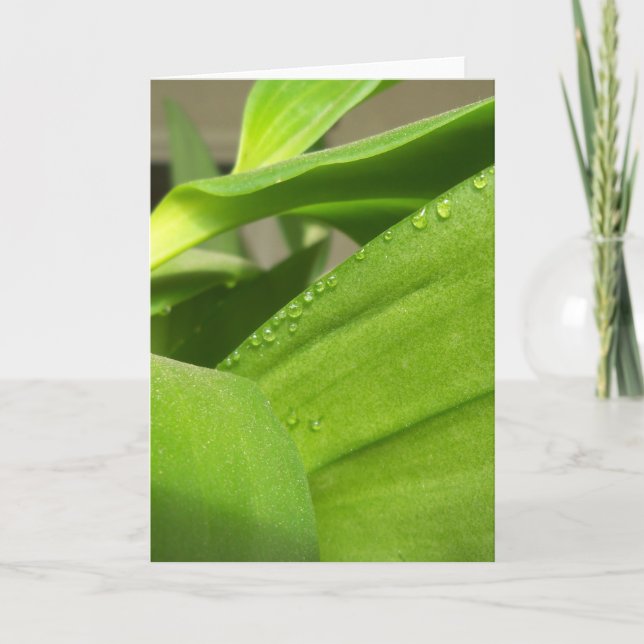 Cartão de saudação de vazio com folhas verdes feli (Frente)