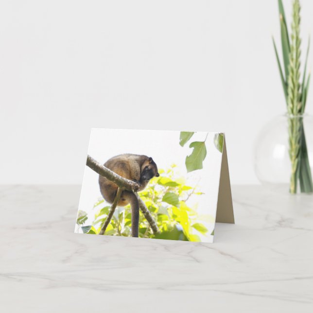 Cartão de saudação de vazio com Tree Kangaroo (Frente)