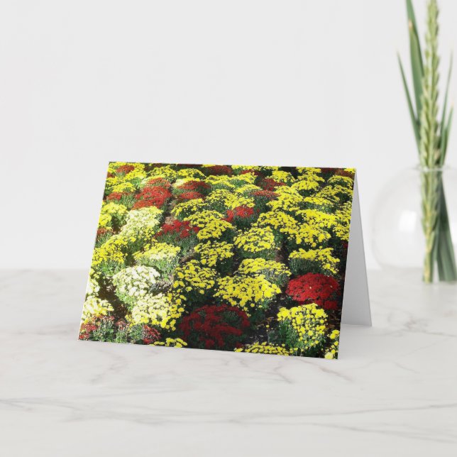 Cartão de Saudação de Vazio das Flores de outono (Frente)