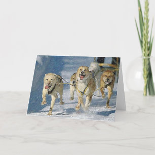 Cartão de Saudação de Vazio de Cachorro Sled Sl