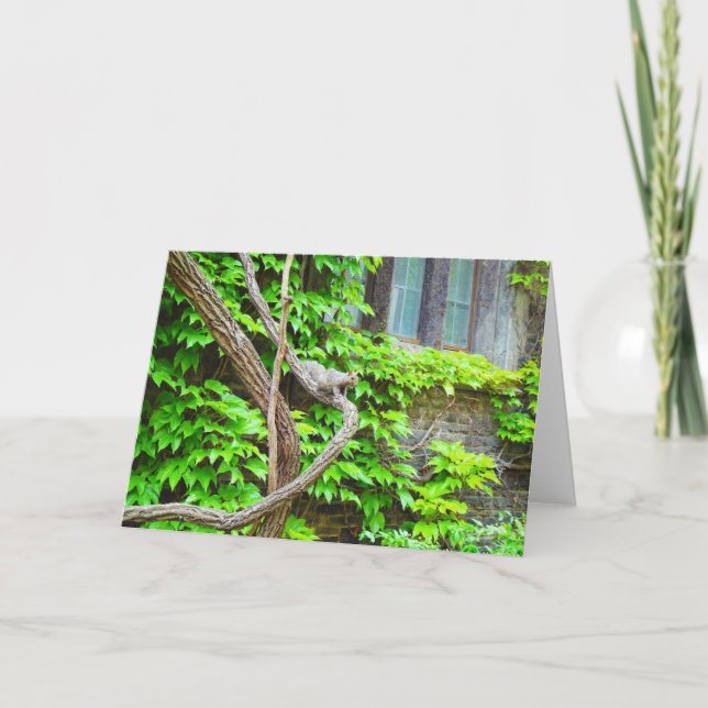 Cartão De Saudação De Vazio De Esquilo E Vinha (Frente)