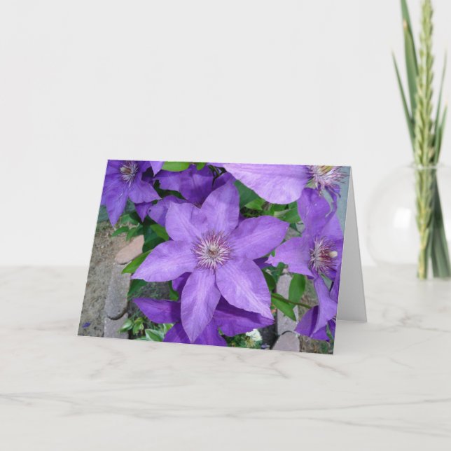 Cartão de saudação de Vazio de Flor Roxo (Frente)