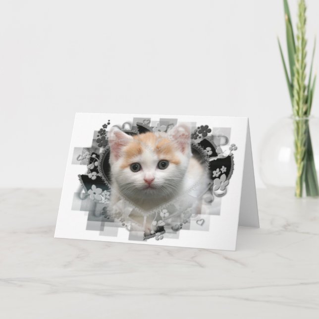 Cartão de saudação de Vazio de Kitten (Frente)