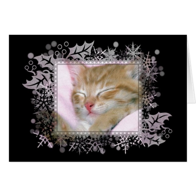 Cartão de saudação de Vazio de Kitten Dormindo (Frente Horizontal)