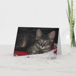 Cartão de Saudação de Vazio de Natal Cáspio