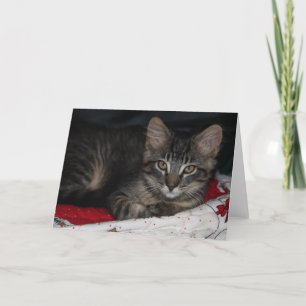 Cartão de Saudação de Vazio de Natal Cáspio