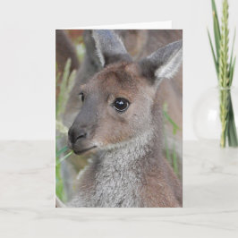 Cartão de Saudação de vazio - Kangaroo Joey