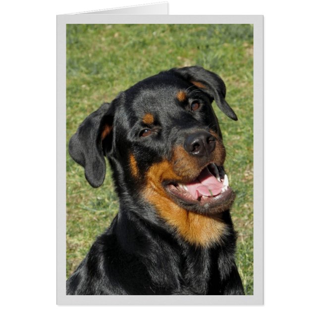 Cartão de Saudação de Vazio Rottweiler Cute (Frente)