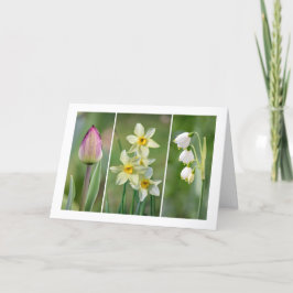 Cartão de saudação de vazio 'Spring Flowers'