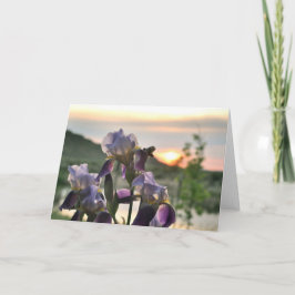 Cartão de saudação de vazio sunset e irrisória