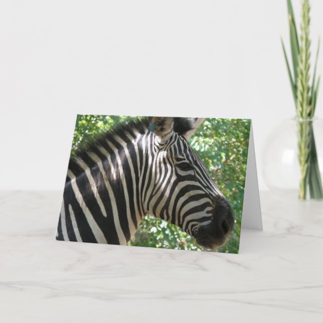 Cartão de Saudação de Zebra Cuja (Frente)