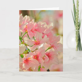 Cartão de saudação, dentro vazio