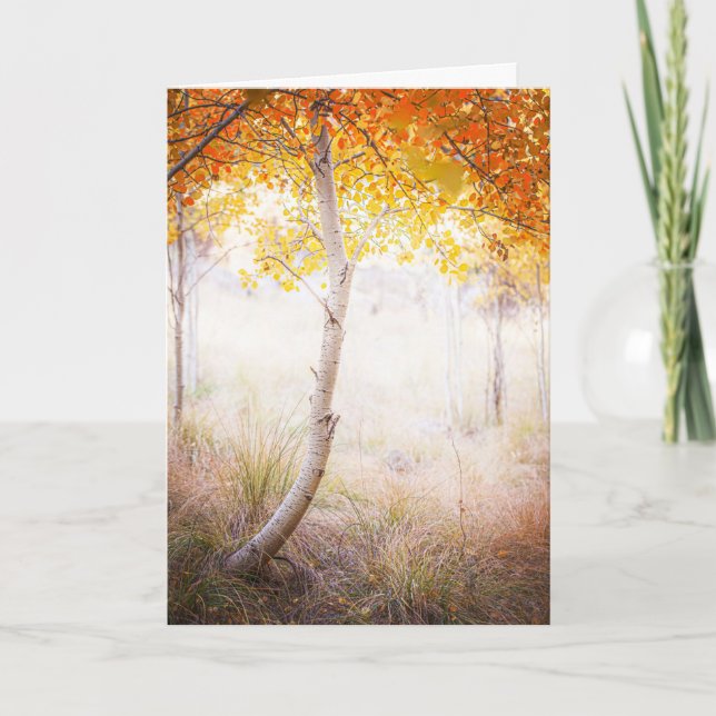 Cartão de saudação, Dentro Vazio (Frente)