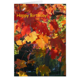 Cartão de saudação do Autumn Foliage