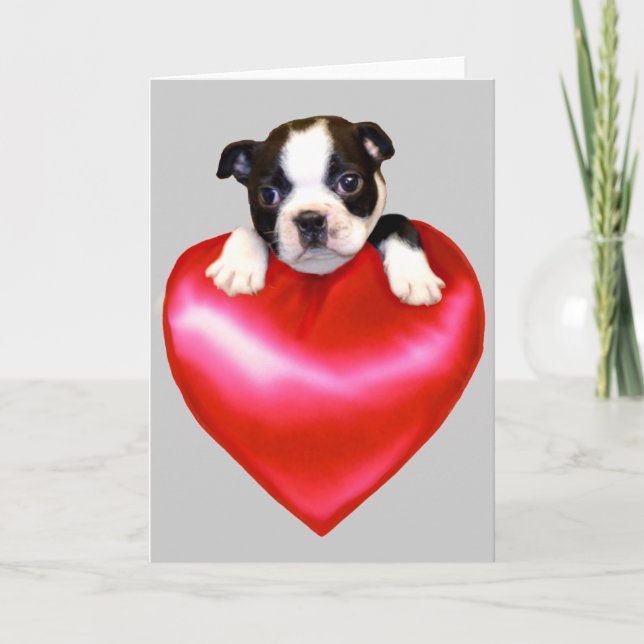 Cartão de saudação do Boston Terrier do amor (Frente)