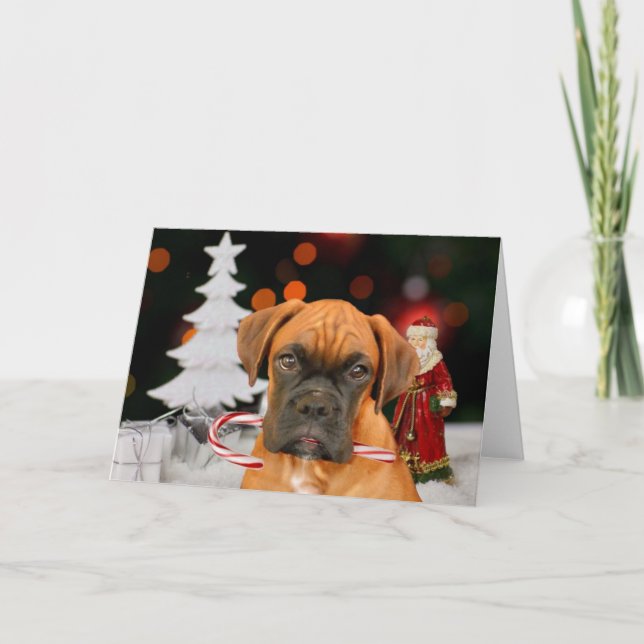 Cartão de saudação do cão Boxer de Natal (Frente)