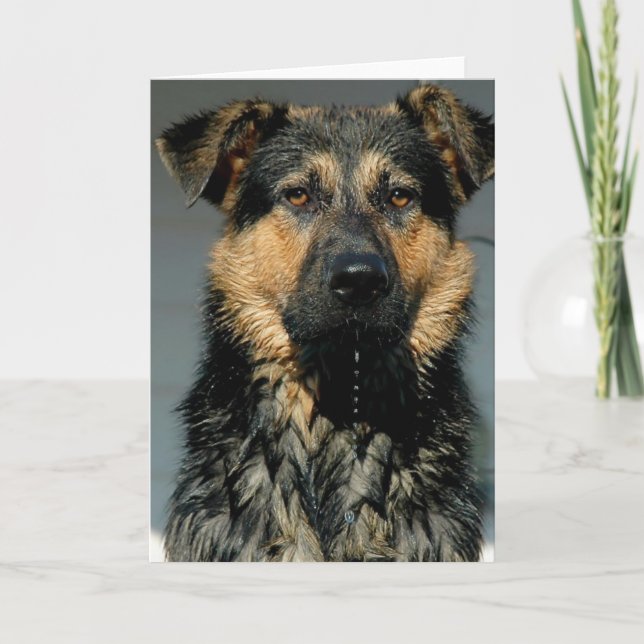 Cartão de Saudação do Cão german shepherd (Frente)