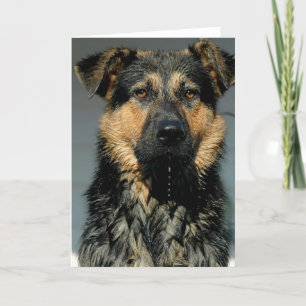 Cartão de Saudação do Cão german shepherd
