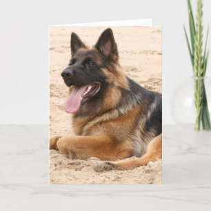 Cartão de saudação do cão German shepherd aninhado