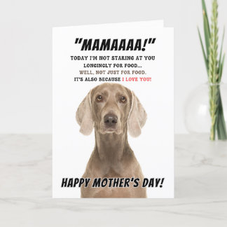 Cartão de saudação do dia de as mães Weimaraner