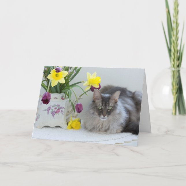 Cartão de saudação do Dia dos Irmãos (Frente)