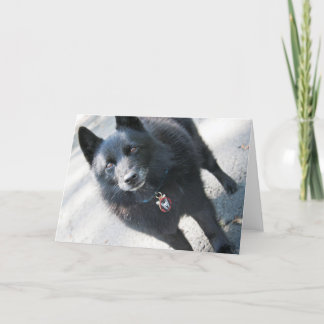Cartão de Saudação do Doggie