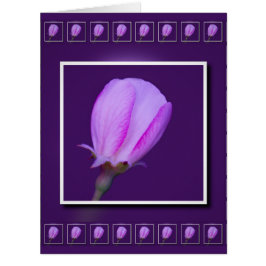 Cartão de Saudação do Flor do Primavera rosa e rox