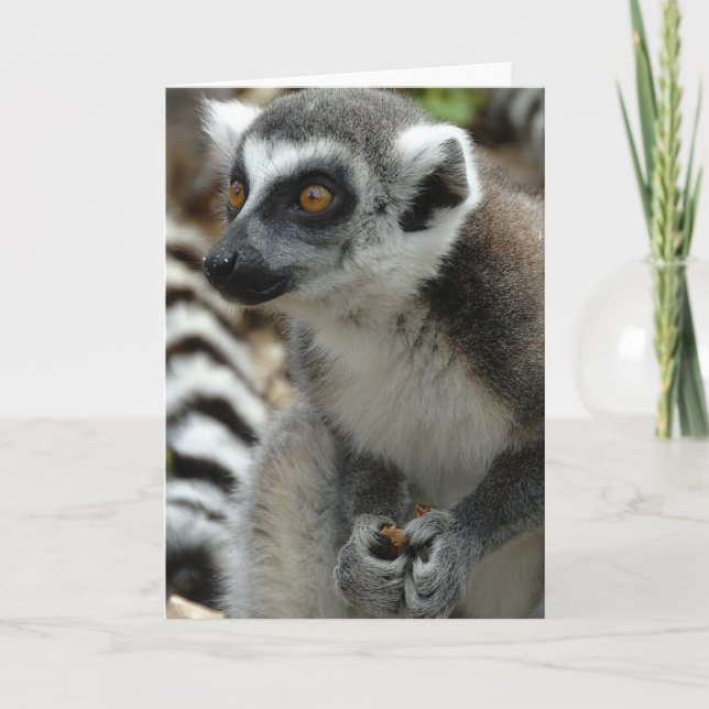 Cartão de Saudação do Macaco Lemur (Frente)