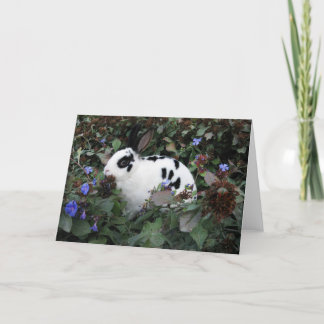 Cartão de Saudação do Mini Rex Rabbit