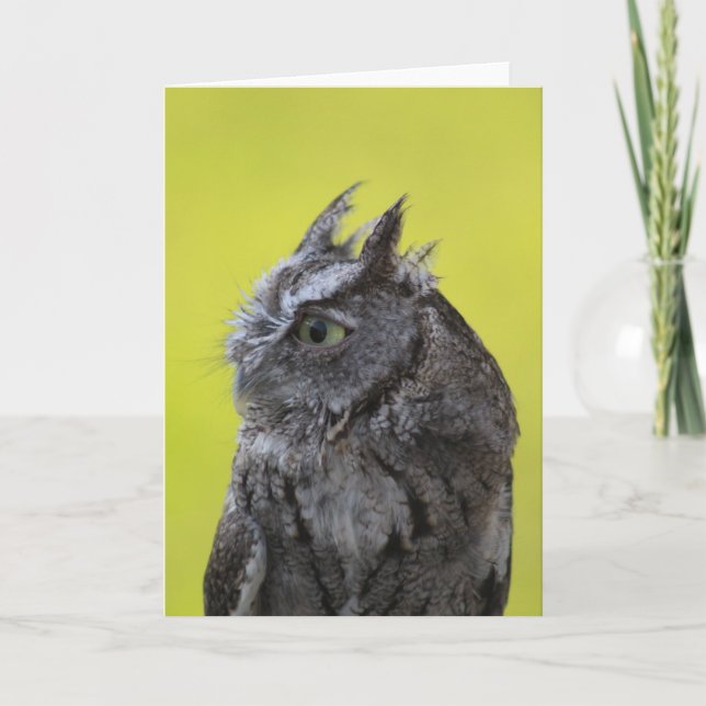 Cartão de saudação do Owl (Frente)