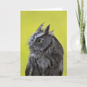 Cartão de saudação do Owl