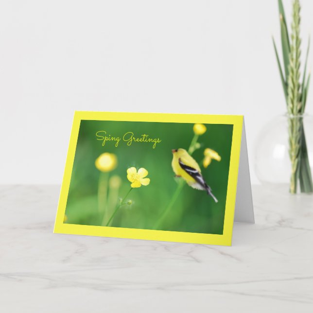 Cartão de Saudação do Pintassilgo Amarelo (Frente)