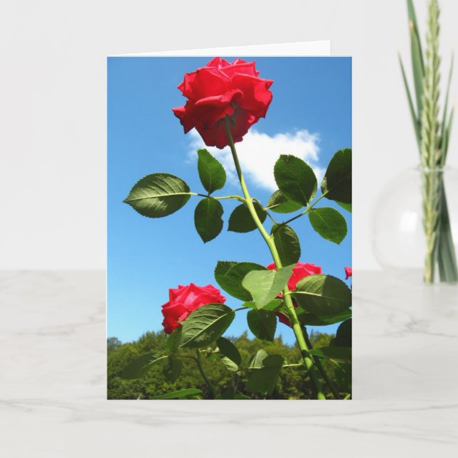 Cartão de saudação do Rosa vermelha (Frente)